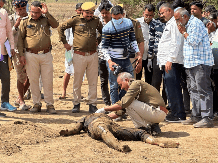 Sensation in Pali: Body of a young man found buried in a 3 feet deep pit, was missing for 12 days