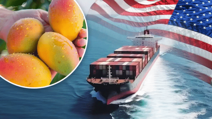 America returned 15 shipments of mangoes sent from India, loss of crores