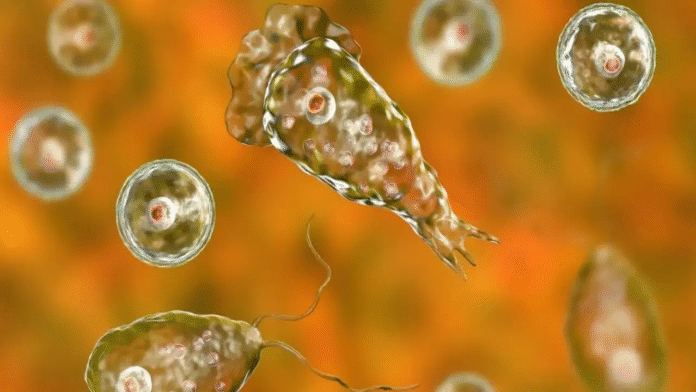 केरल में दिमाग खाने वाले अमीबा के कारण बढ़ता खतरा